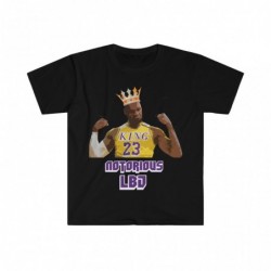 Los Angeles Lakers Lebron...